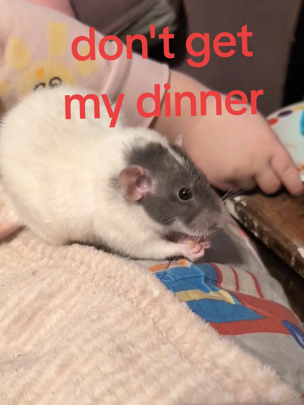 @Kateshadow