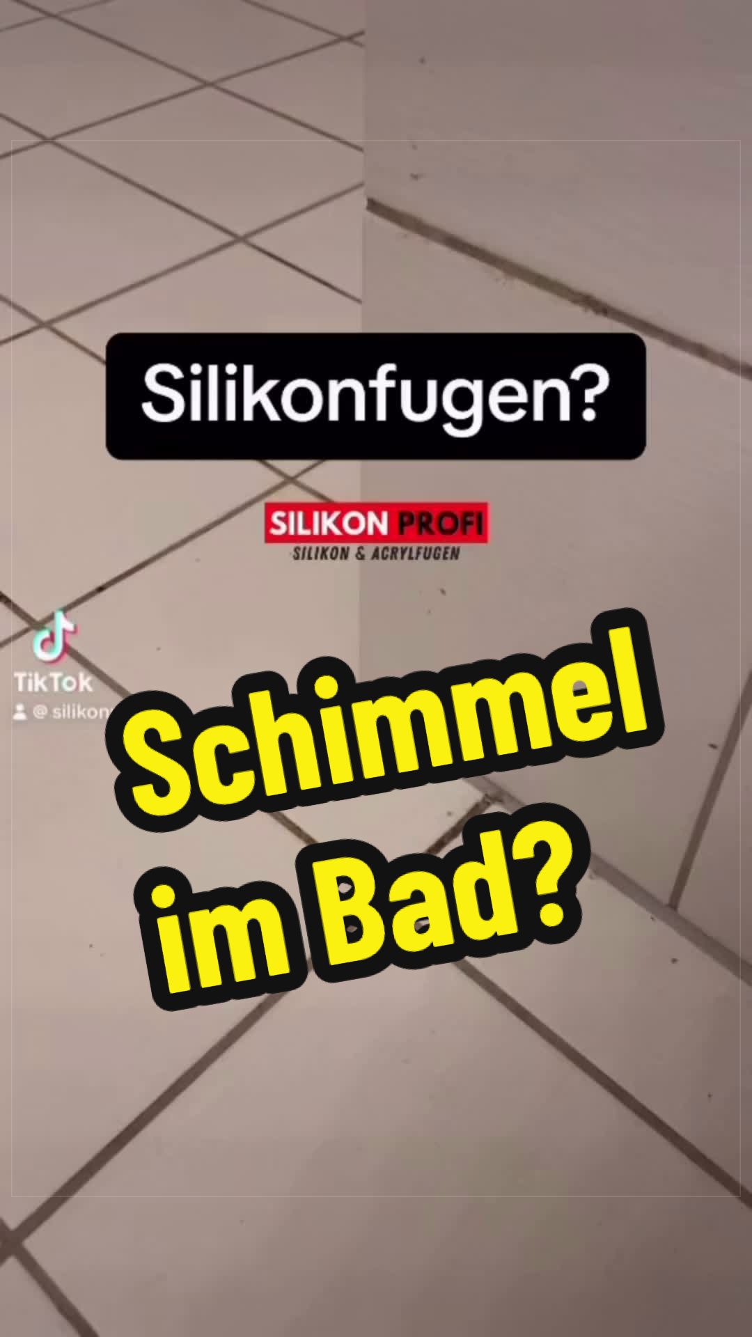 @Silikon Profi