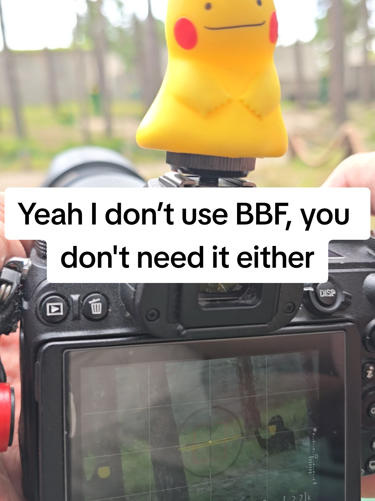@I Export JPGs