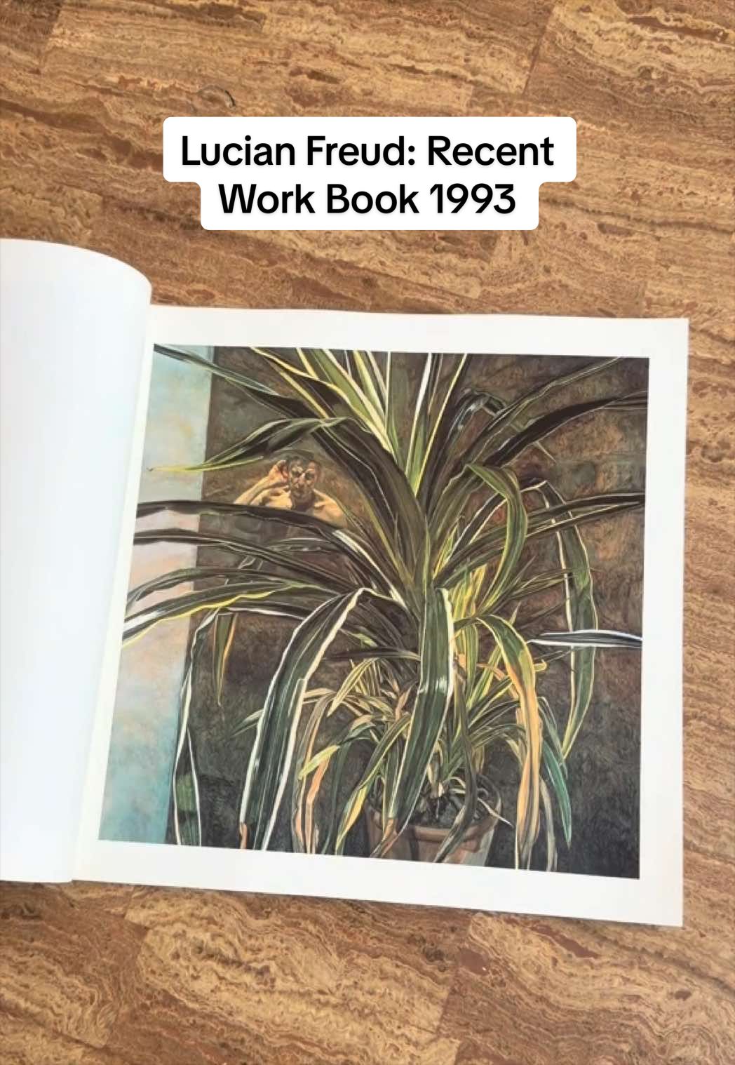 @Lucy Evans | Artist