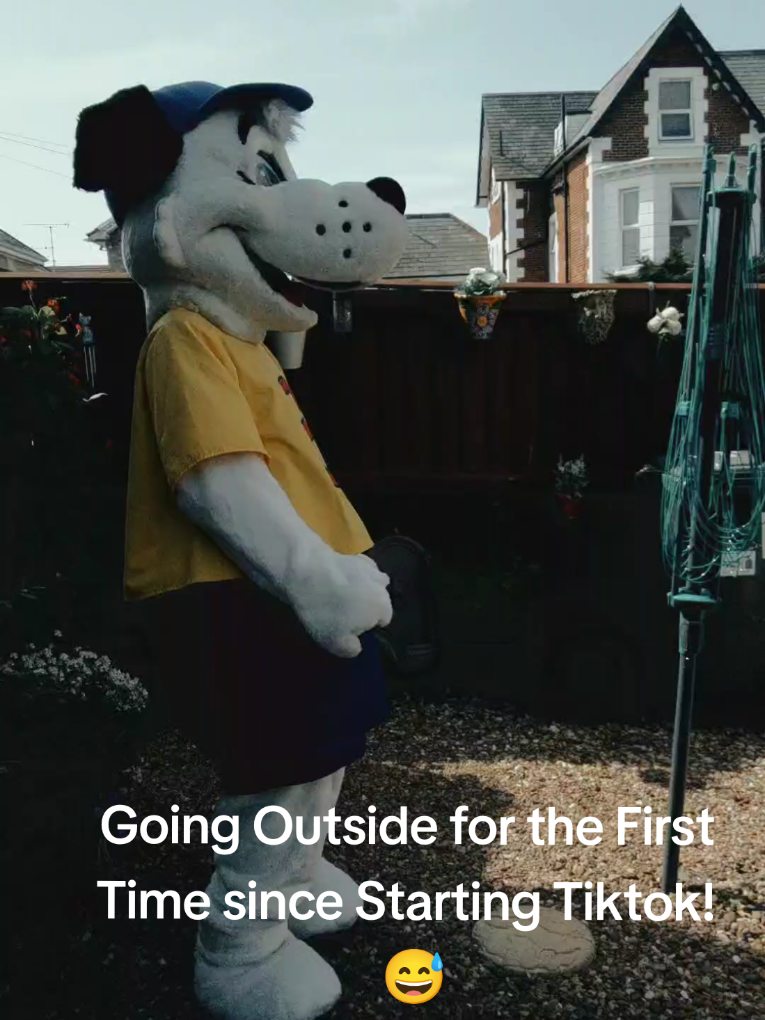 @Mascot Dan