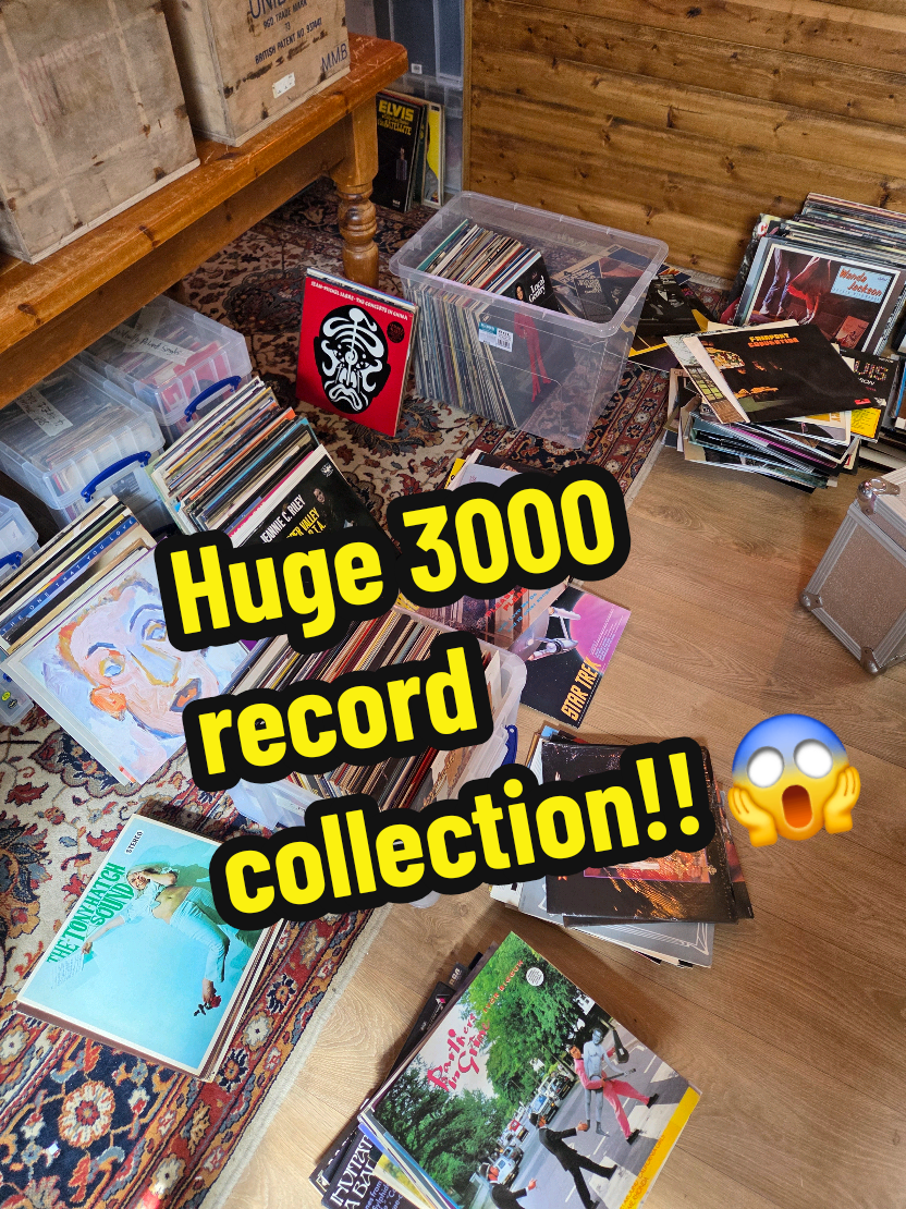 @Vinyl Shakedown Records