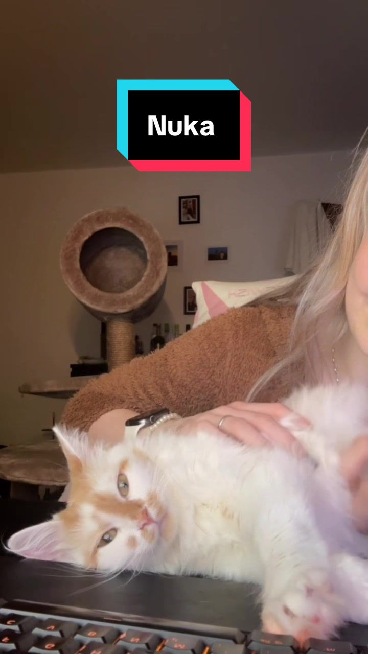 @Liselotte