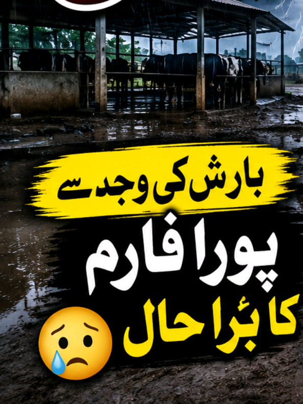 @Dr Hamza VA Kabirwala