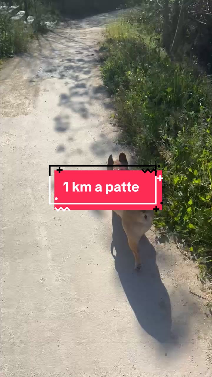 @les aventures de Nina