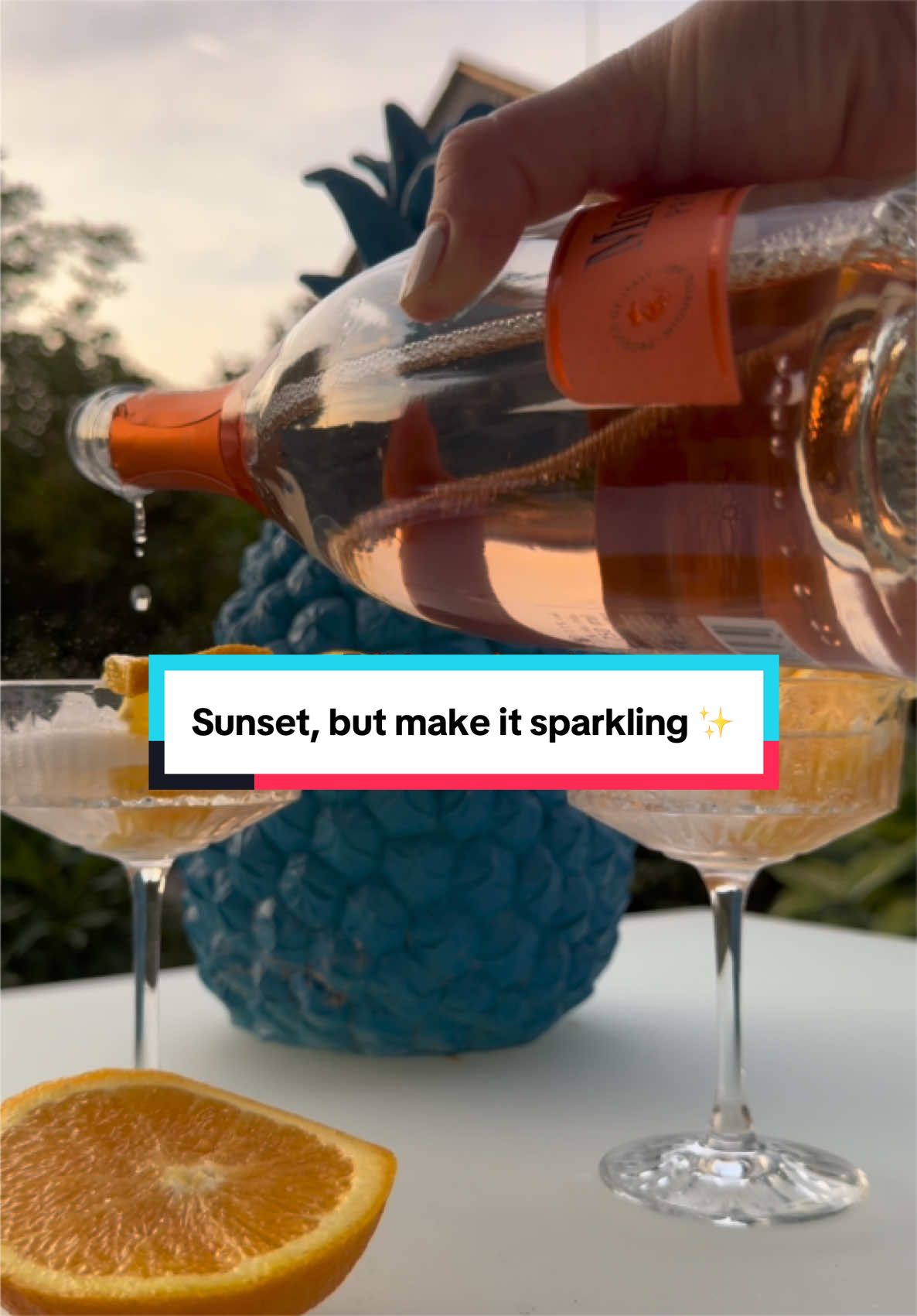 @Charly | 🍷 Aspiring Somm |✈️