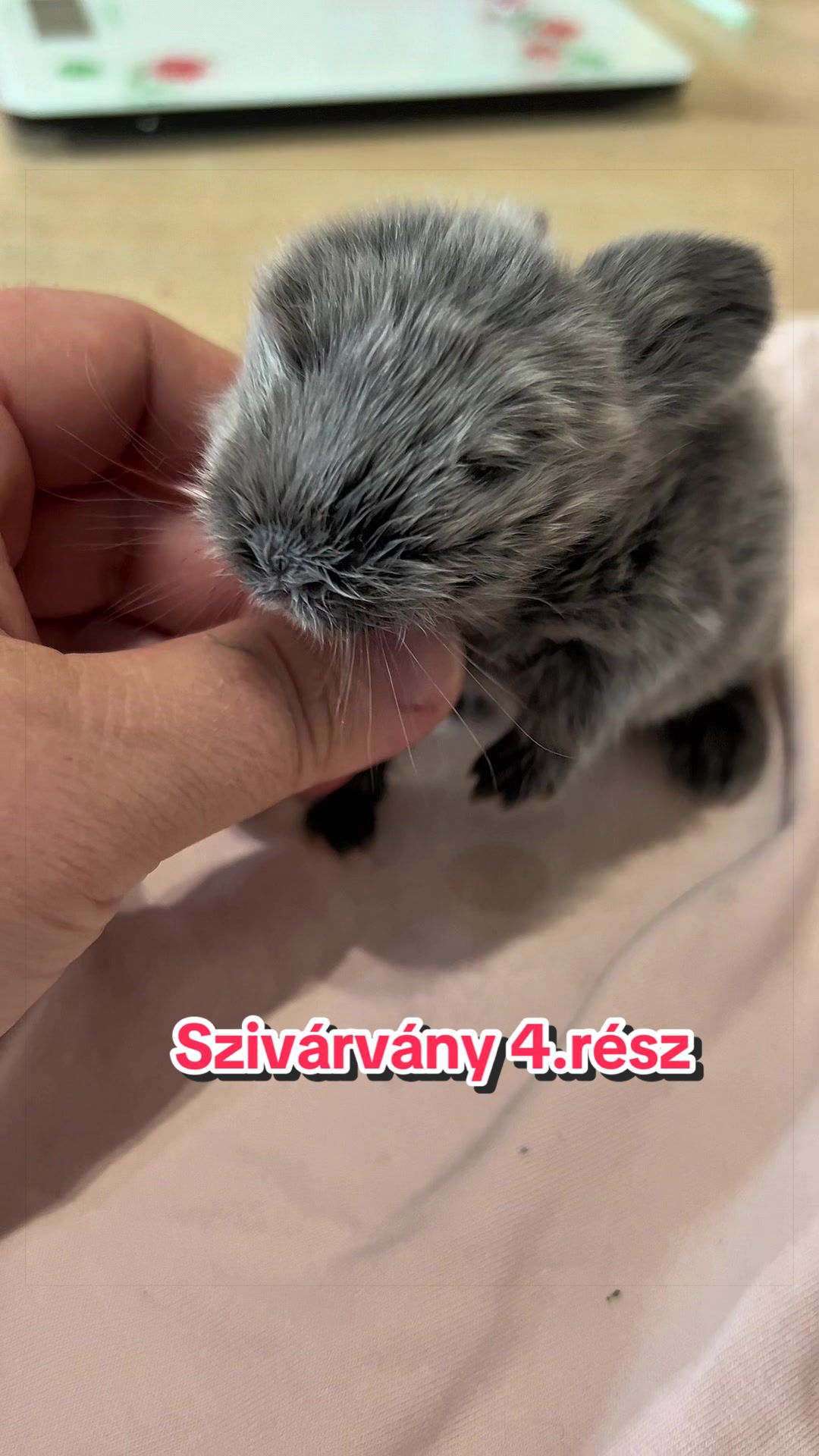 @Némethné Pogrányi Zsuzsanna