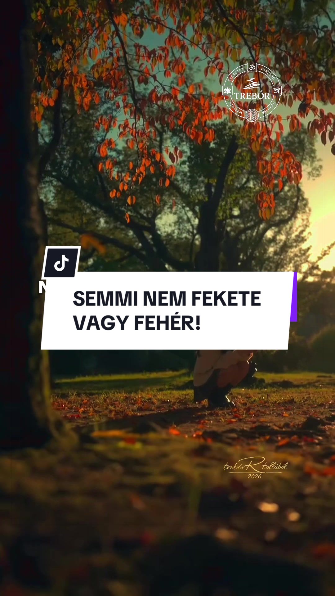 @Rajna R&oacute;bert &bull; treb&oacute;R