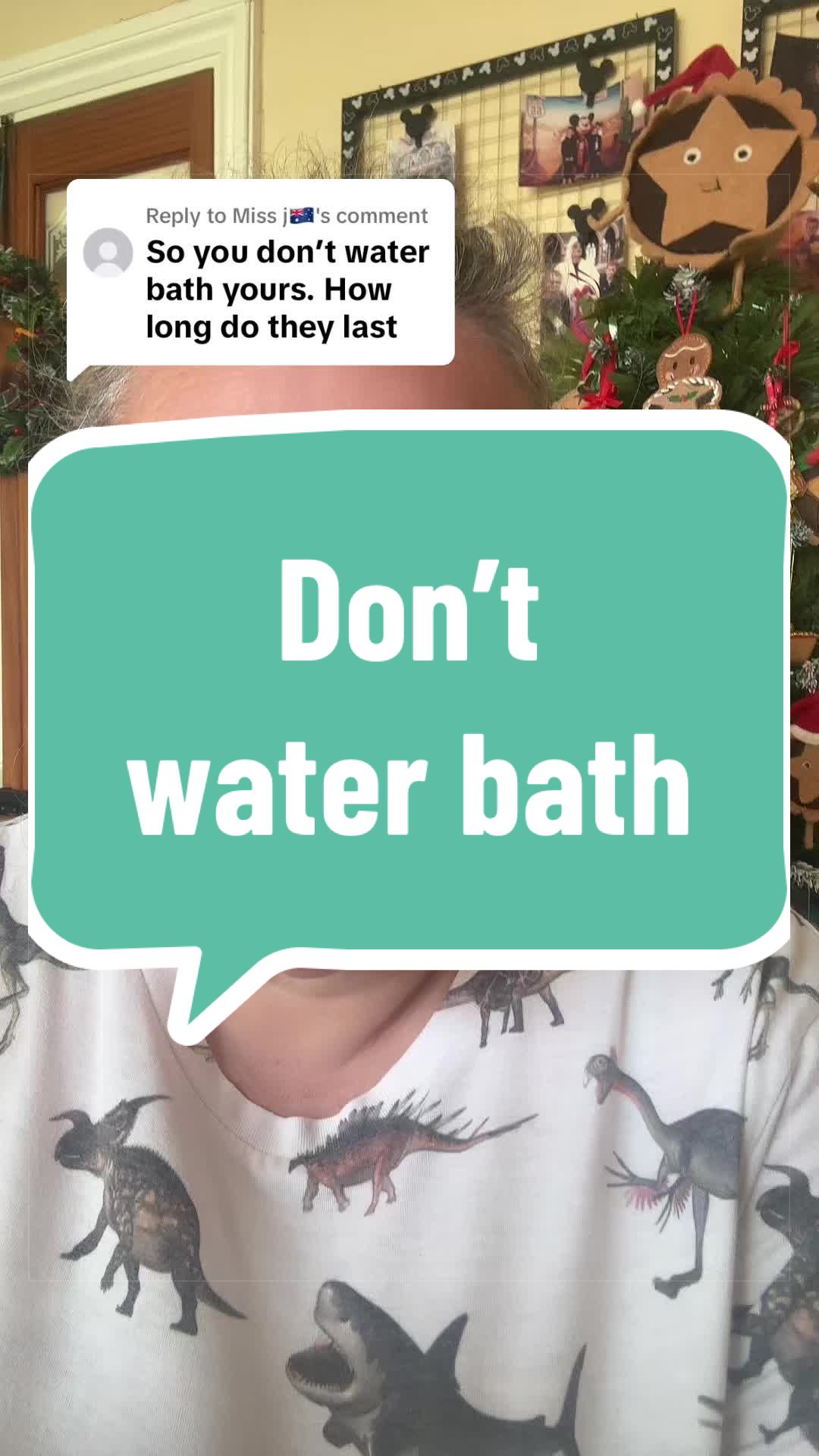 @Christmas&DisneyCrazyLady