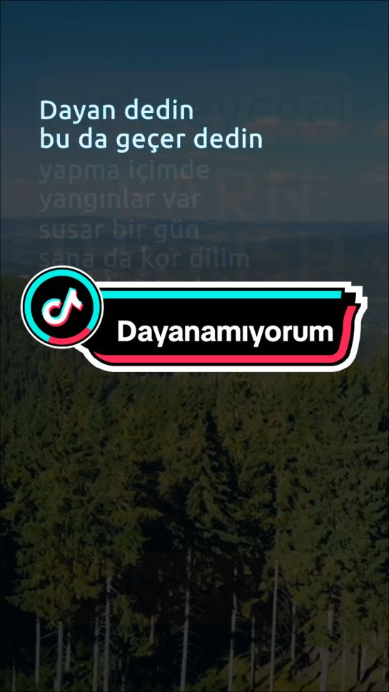 @Learn Turkish with T&uuml;rk&ccedil;eyeGel