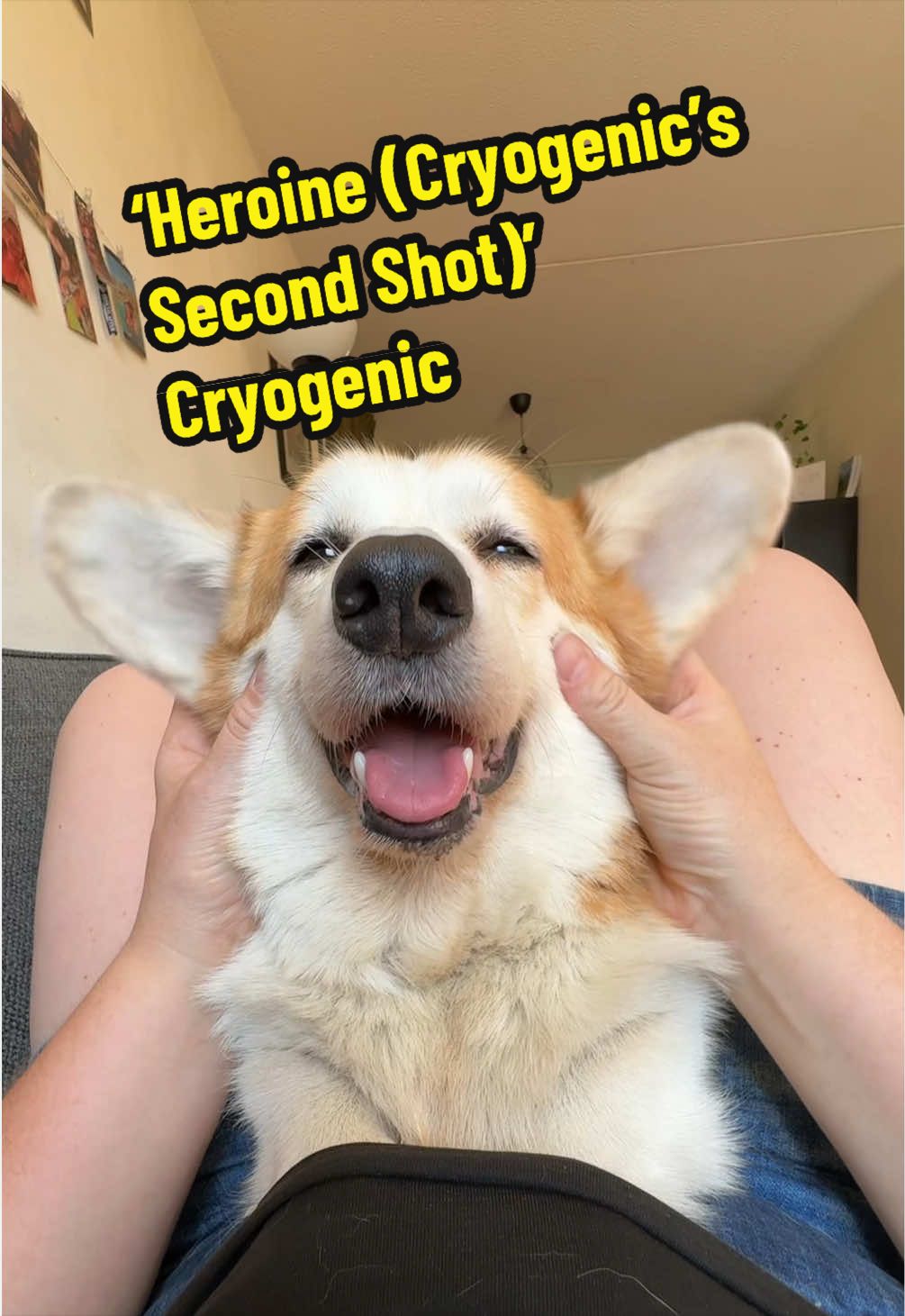 @Kickroll Corgi Charlie ๐ถ๐