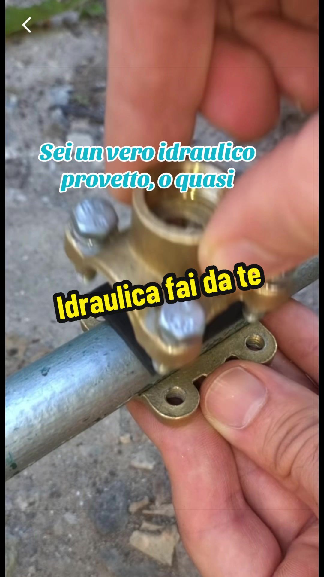 @Alessandro Cuomo ♌️