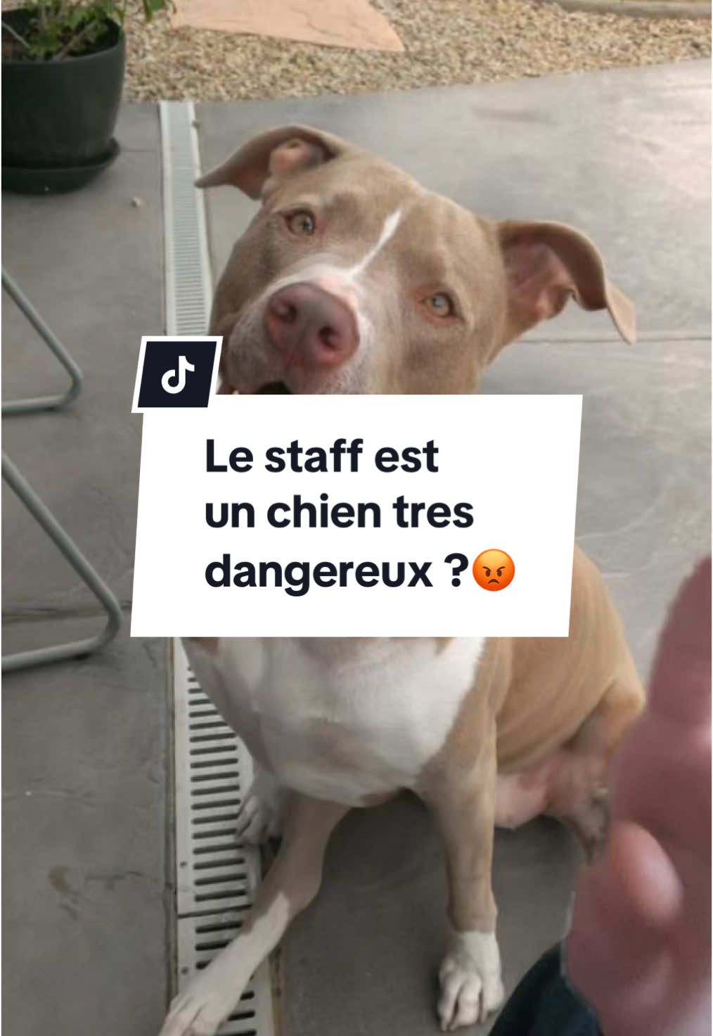 @urgence.annonce