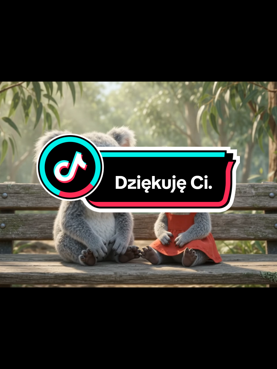 @Wesolutki Koala 🐨 😎