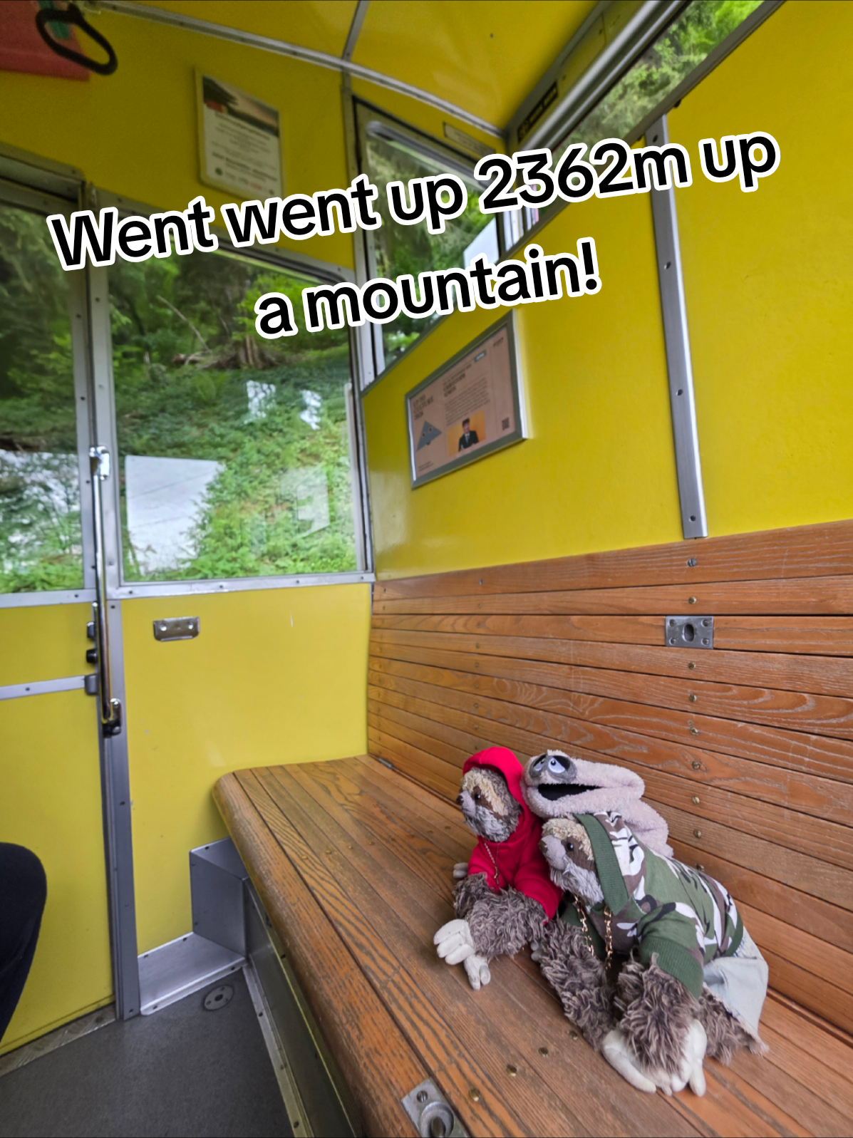 @The Plushie Fam