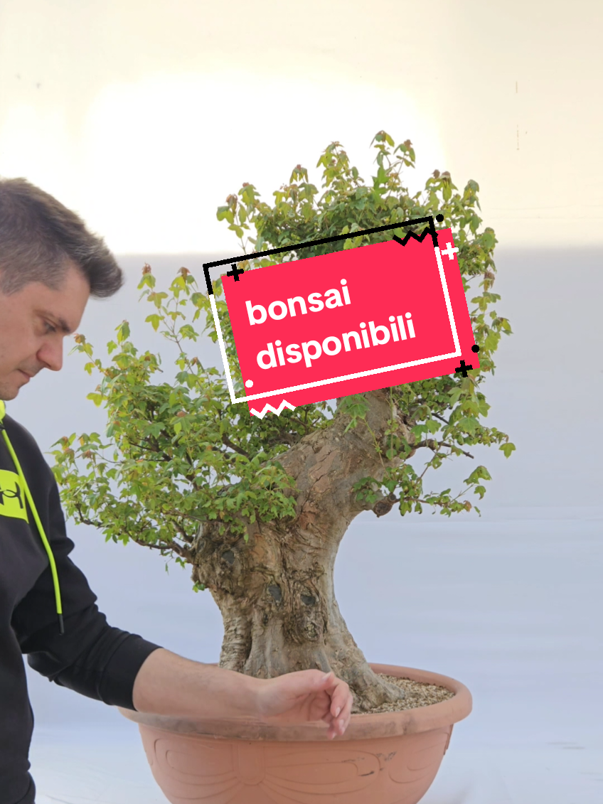 @BONS A.I.