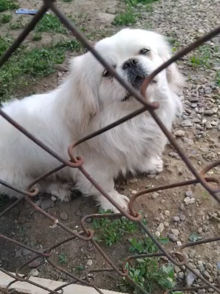 @Jacky_TikTok