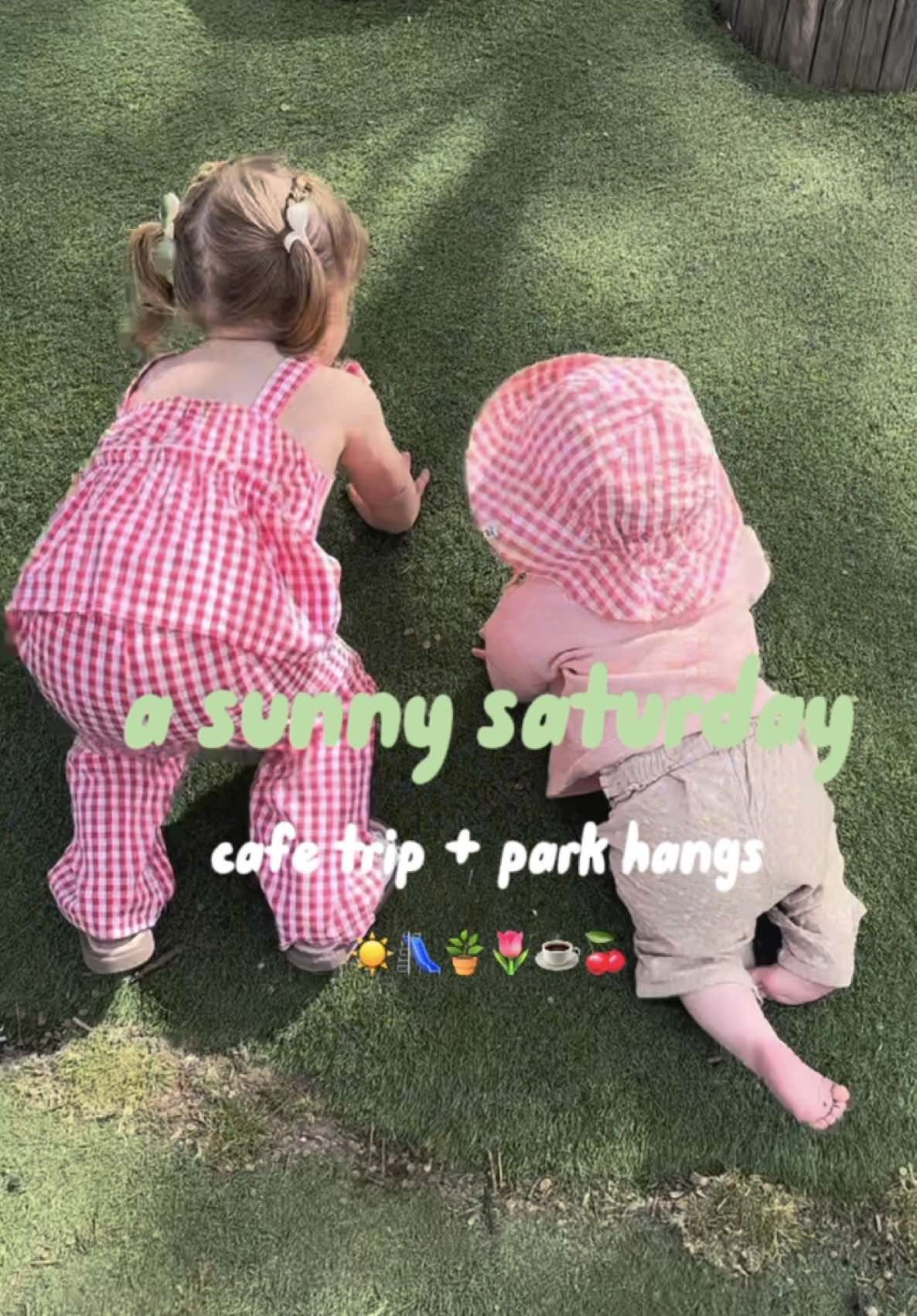 @daisy