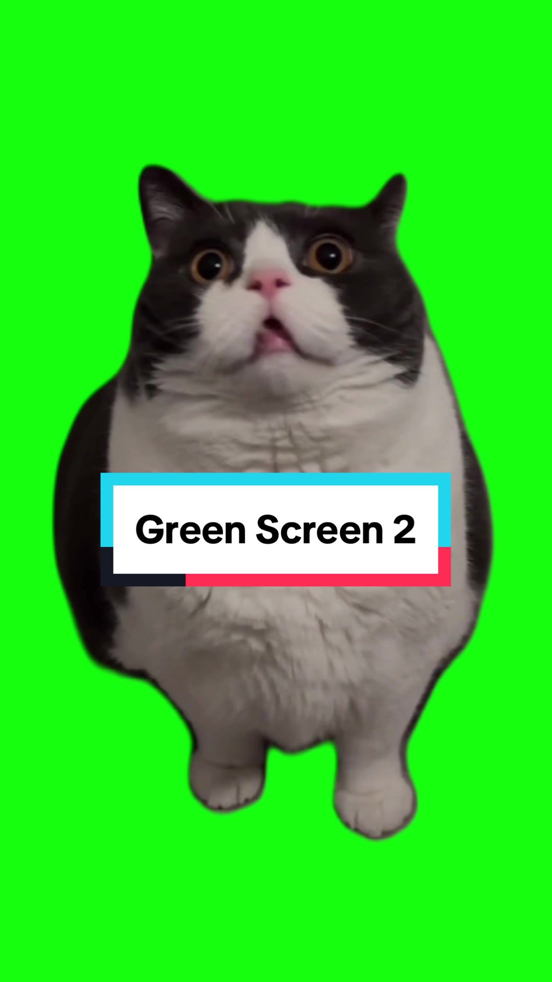 @Emojithecat