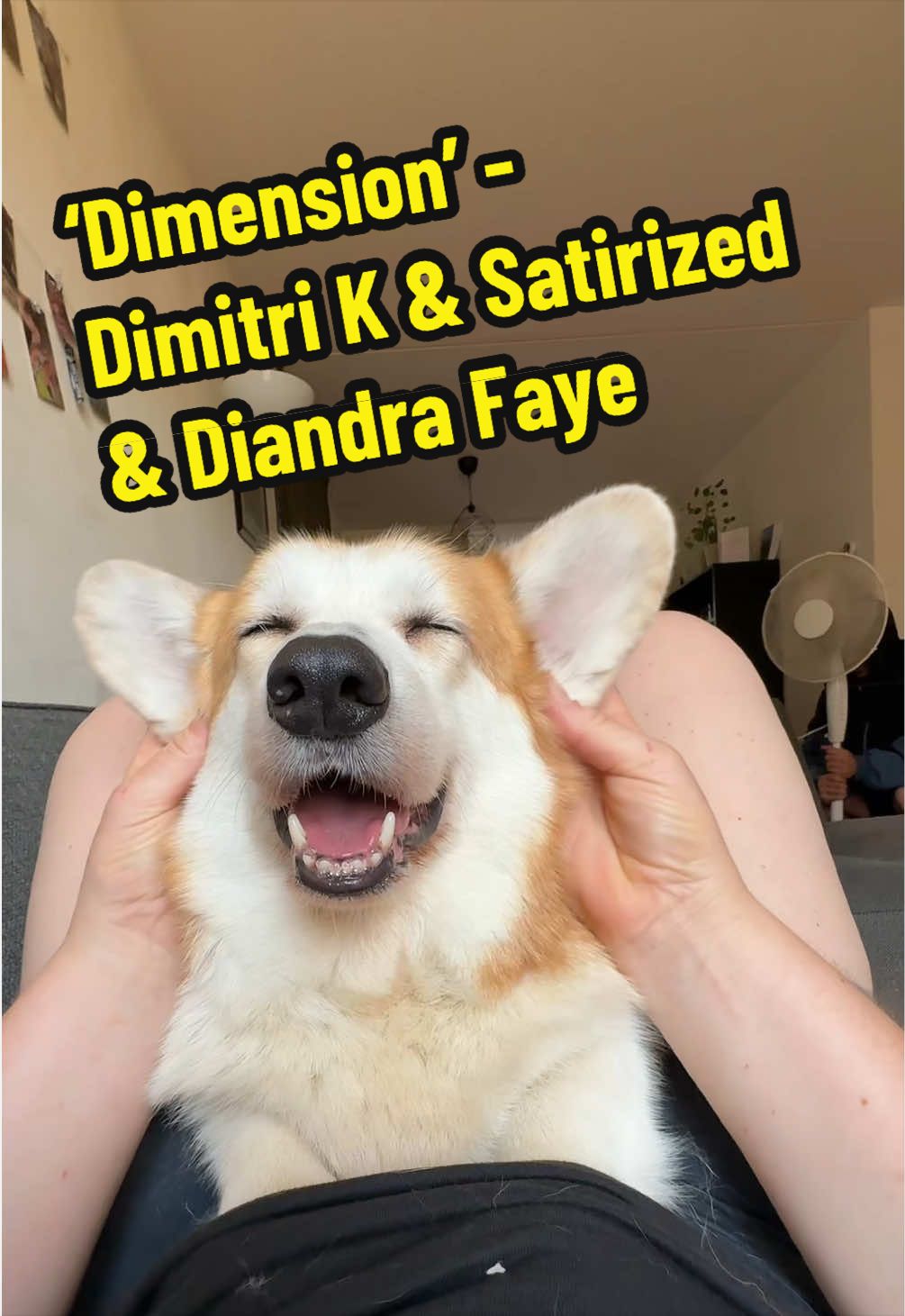 @Kickroll Corgi Charlie ๐ถ๐