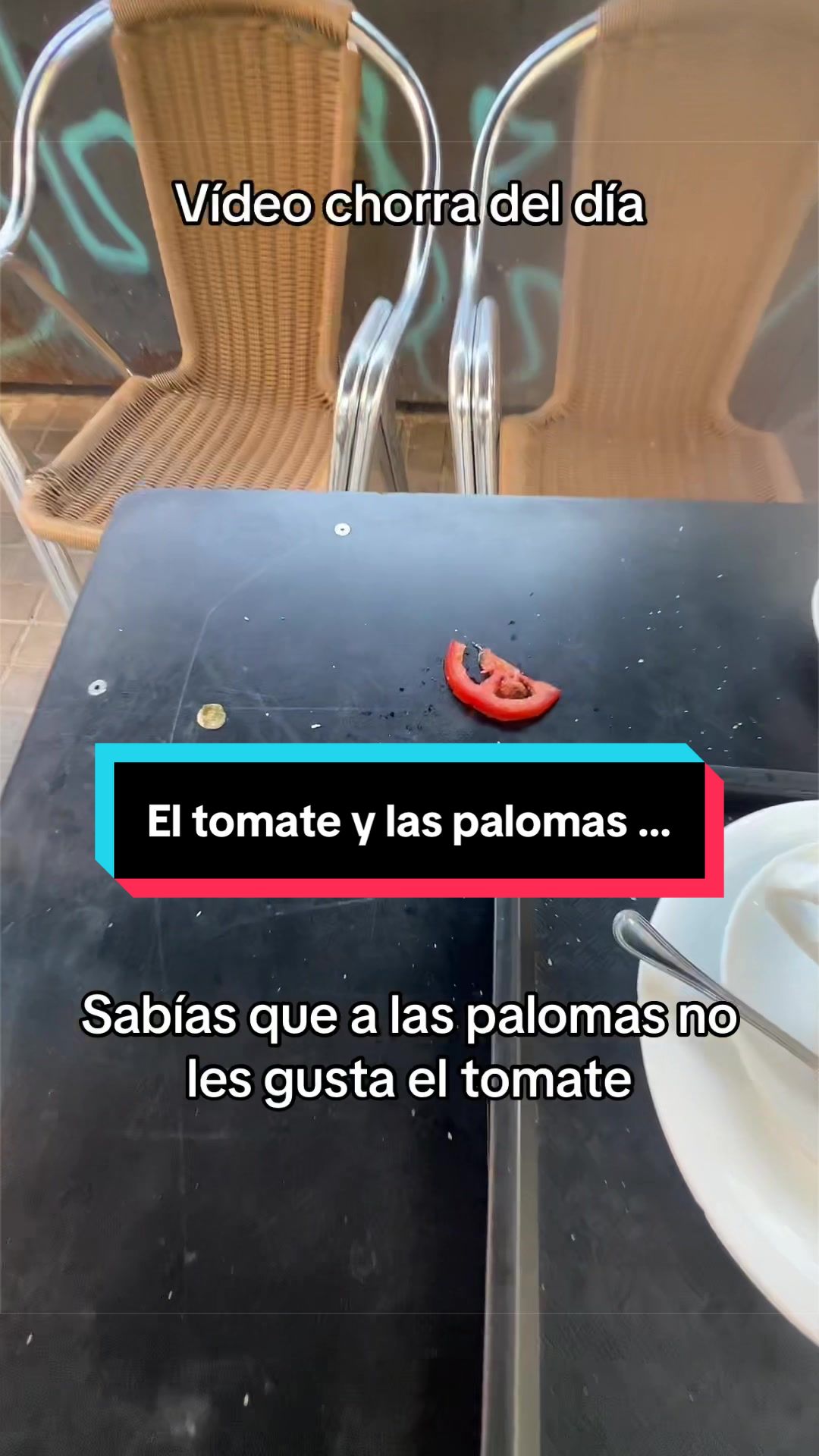 @Rafa Vilalta Rueda