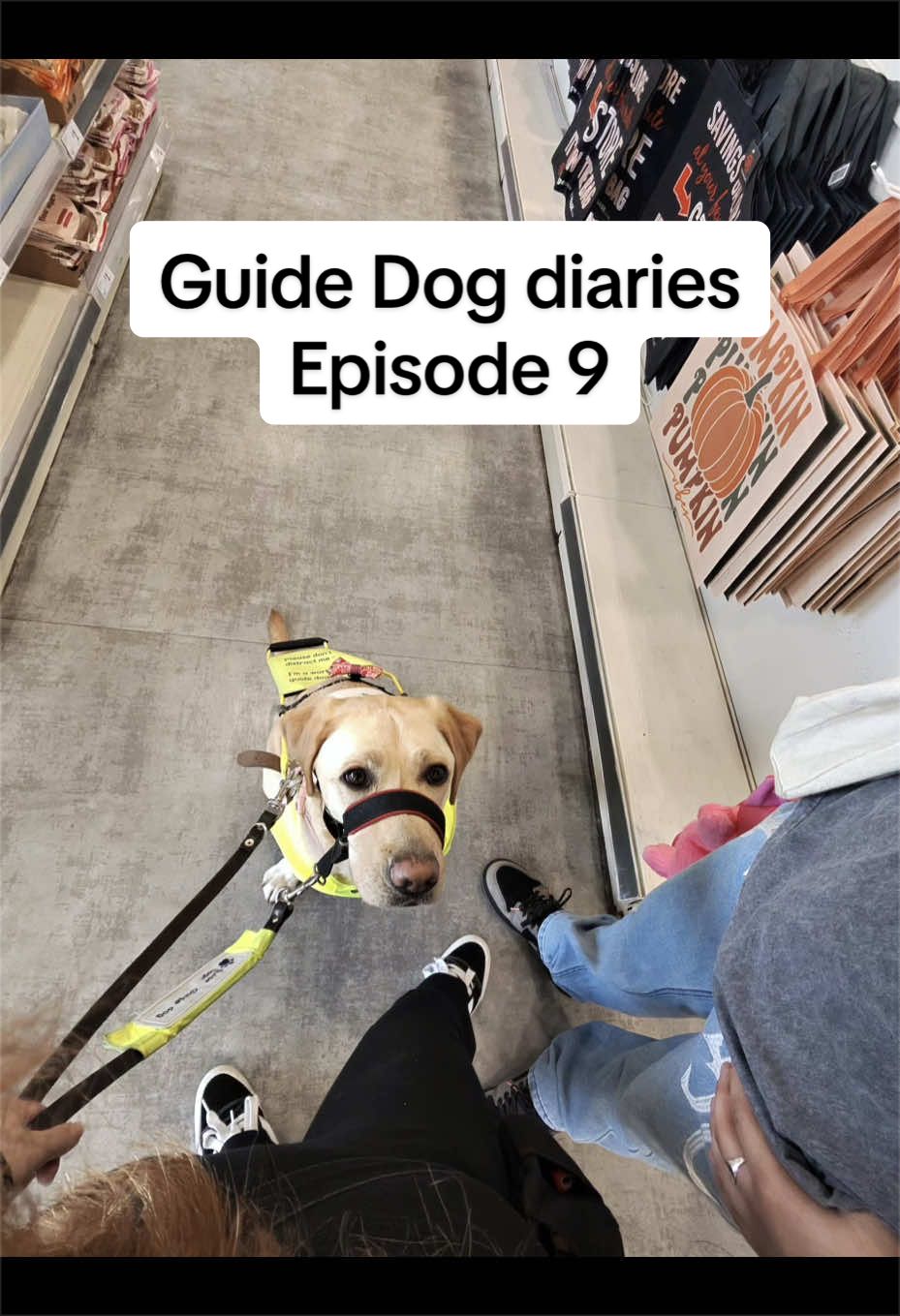 @guidedbybarbie25