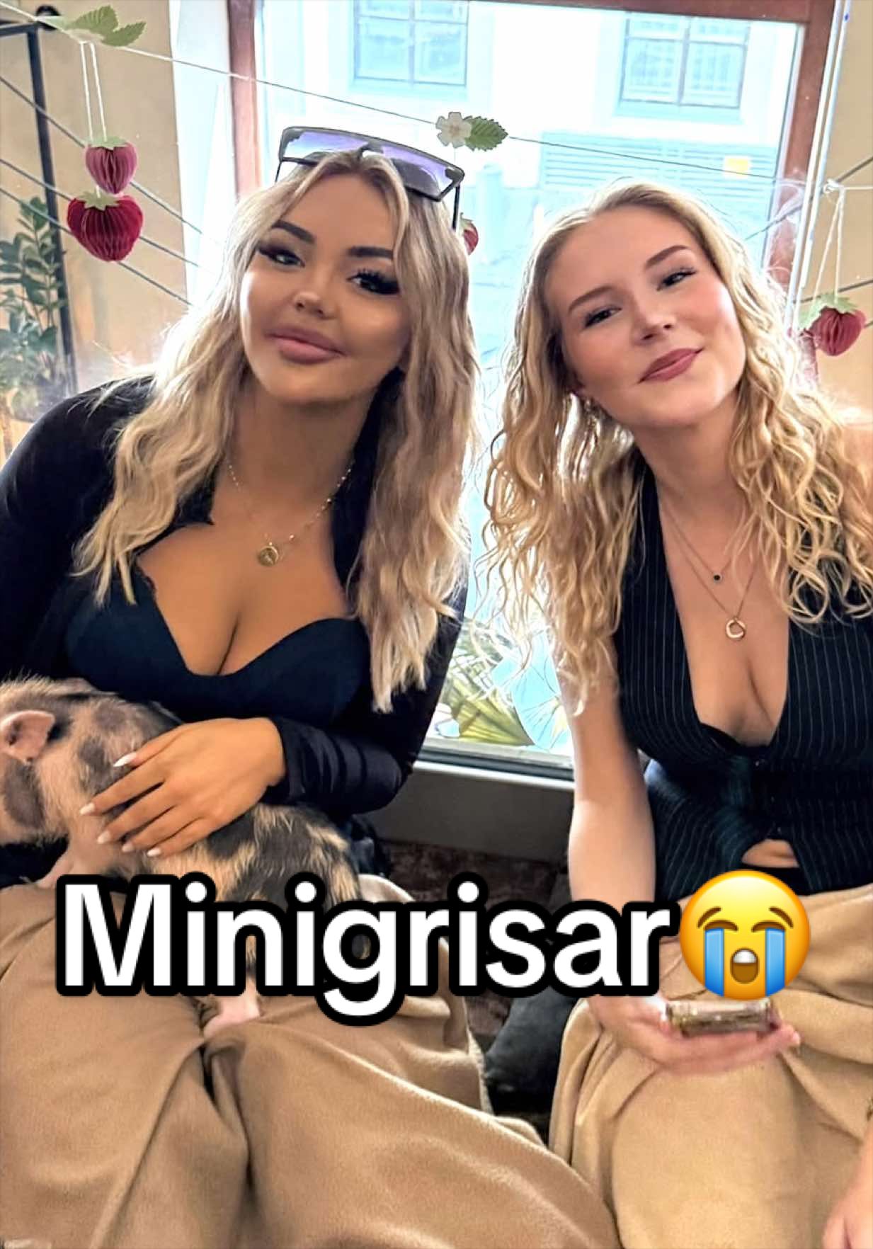 @AmandaLundgren