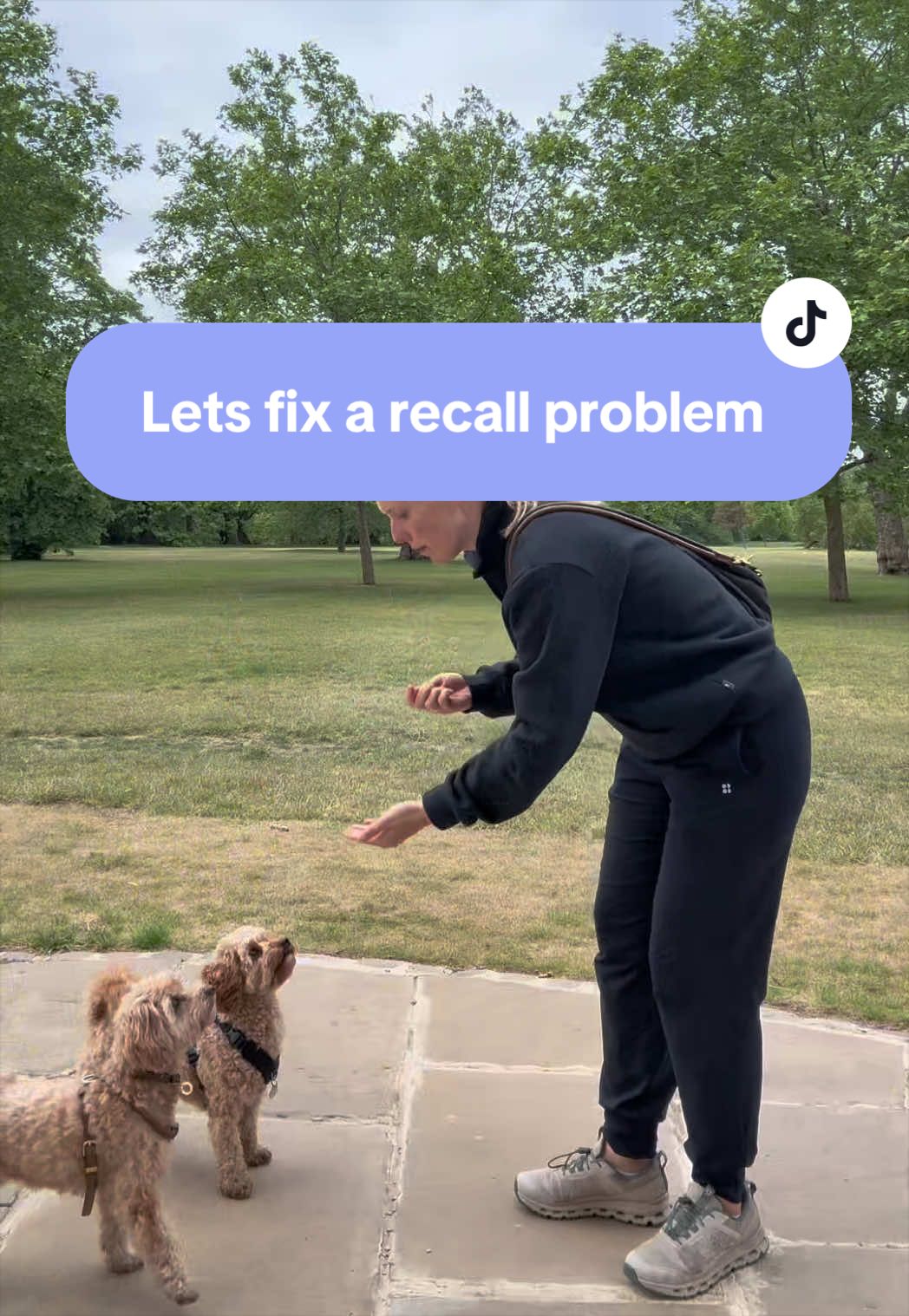 @MilneandMutt