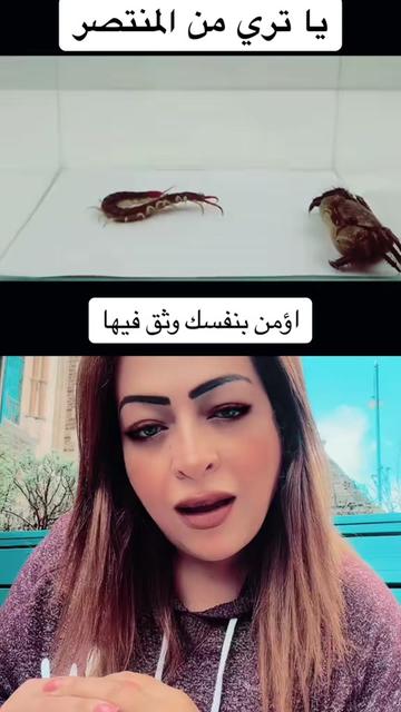 @Rania Raghib - رانيا راغب