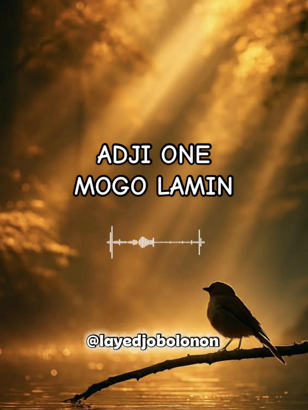 @layedjobolonon