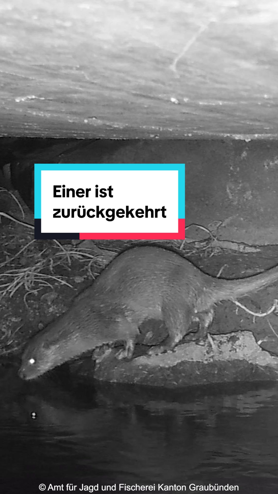 @WWF Schweiz