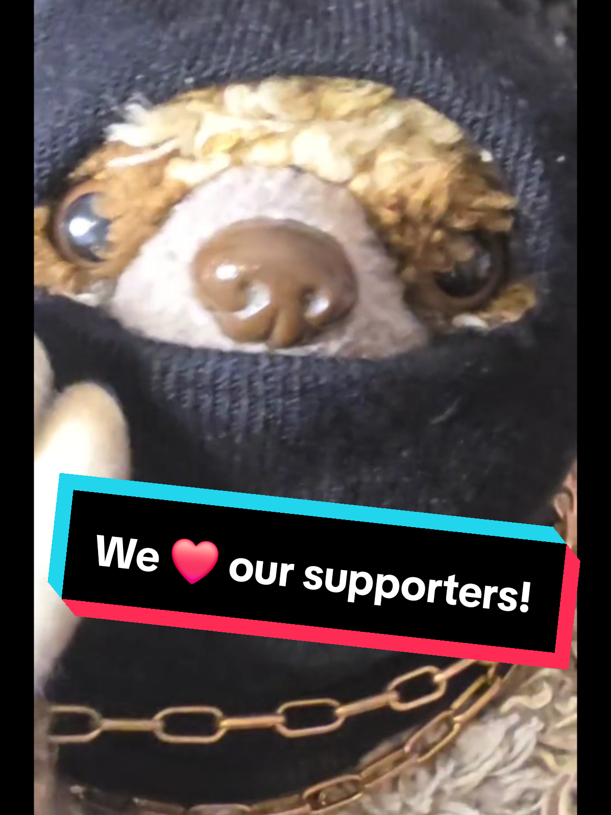 @The Plushie Fam
