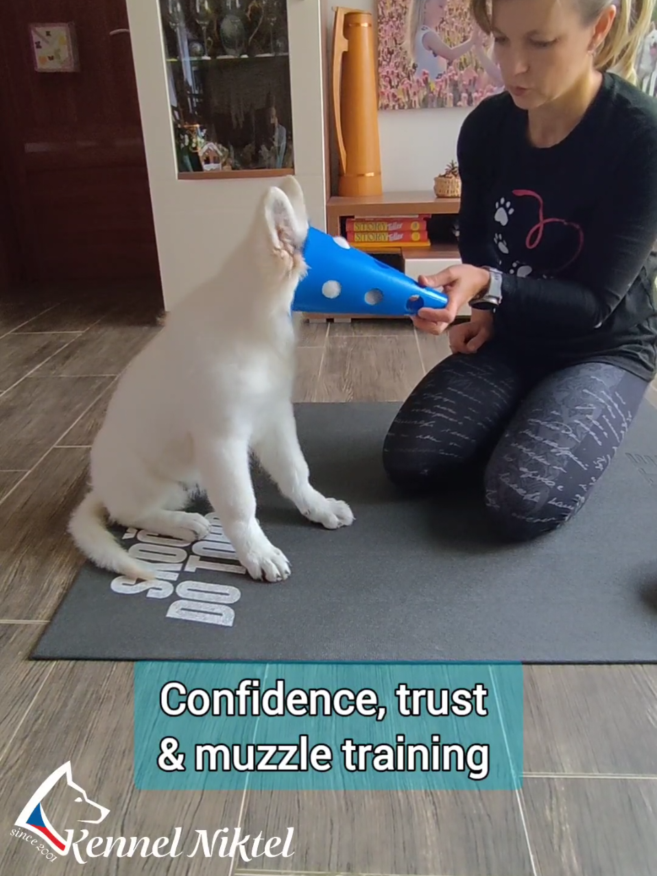 @Kennel Niktel