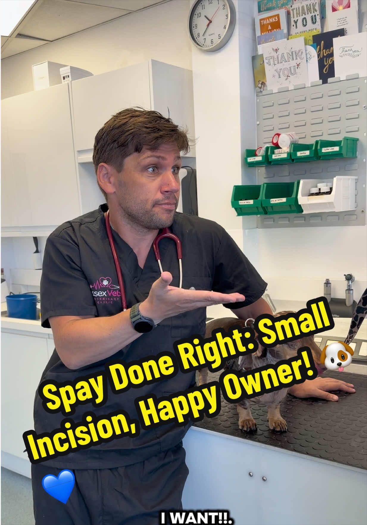 @Tomasthevet