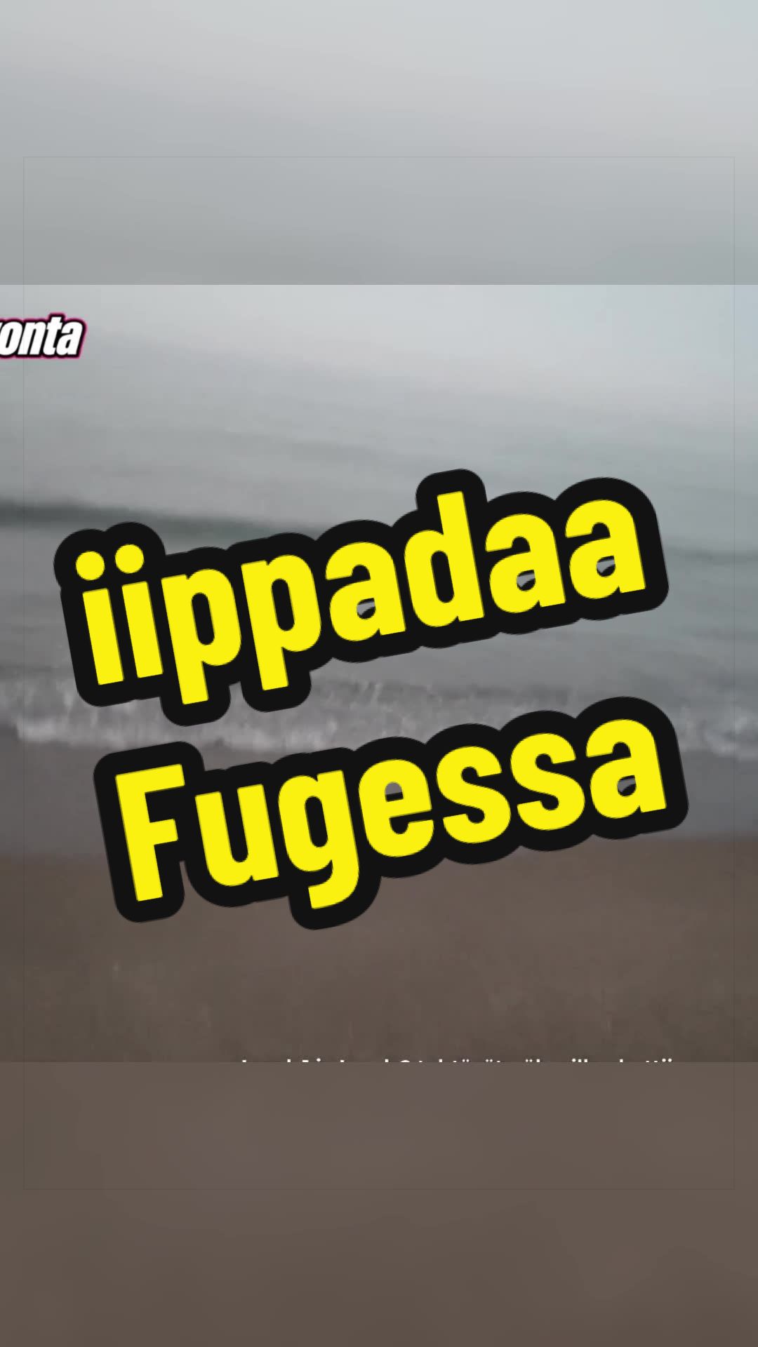 @Testopuli