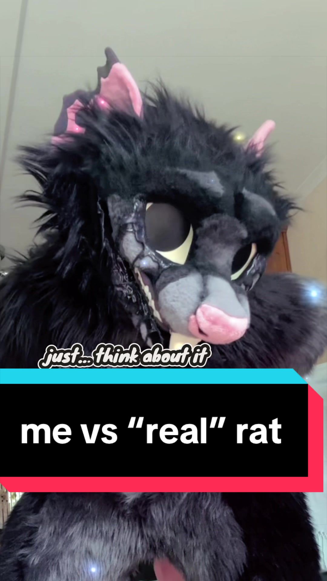 @Rayne (alyxamutt)