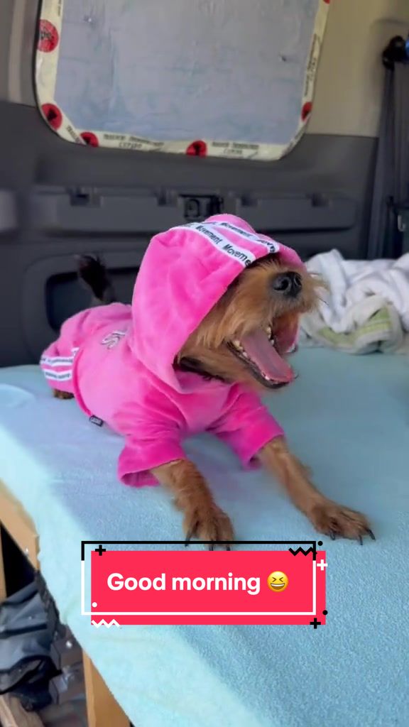 @Stella fast and furryous