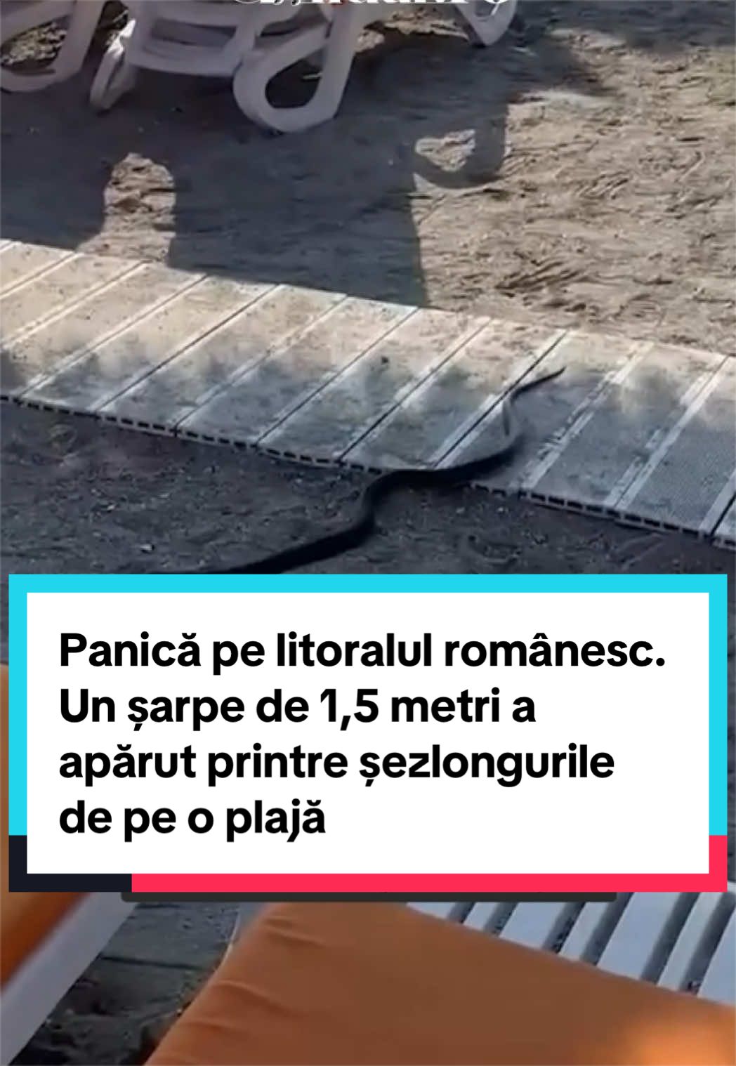 @Gandul Romania
