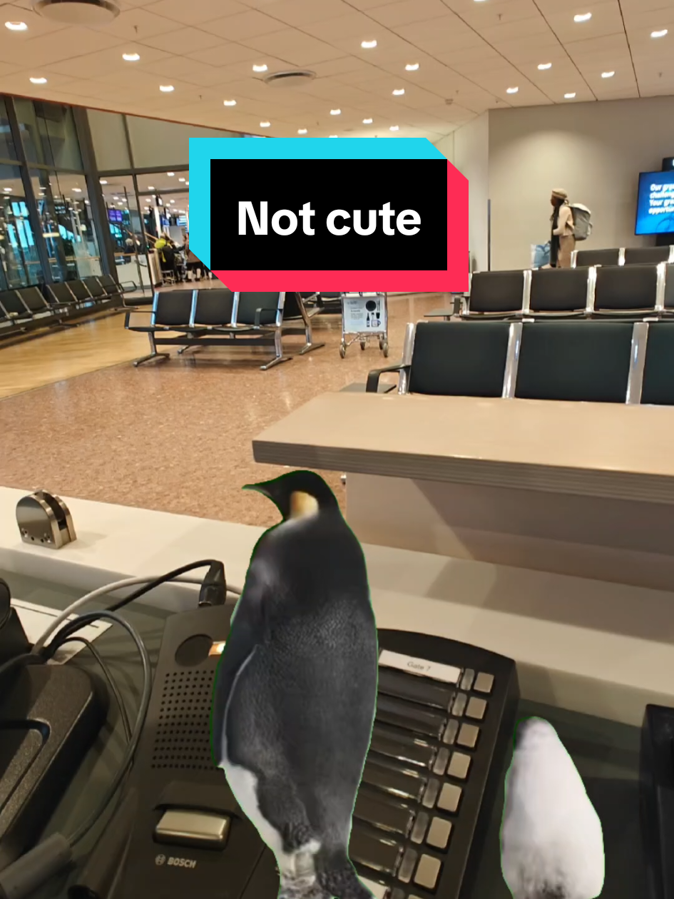 @Arlanda Memes