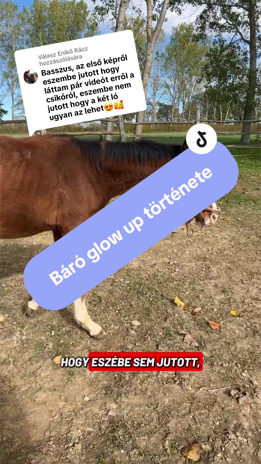 @B&D(Dóri)🥳