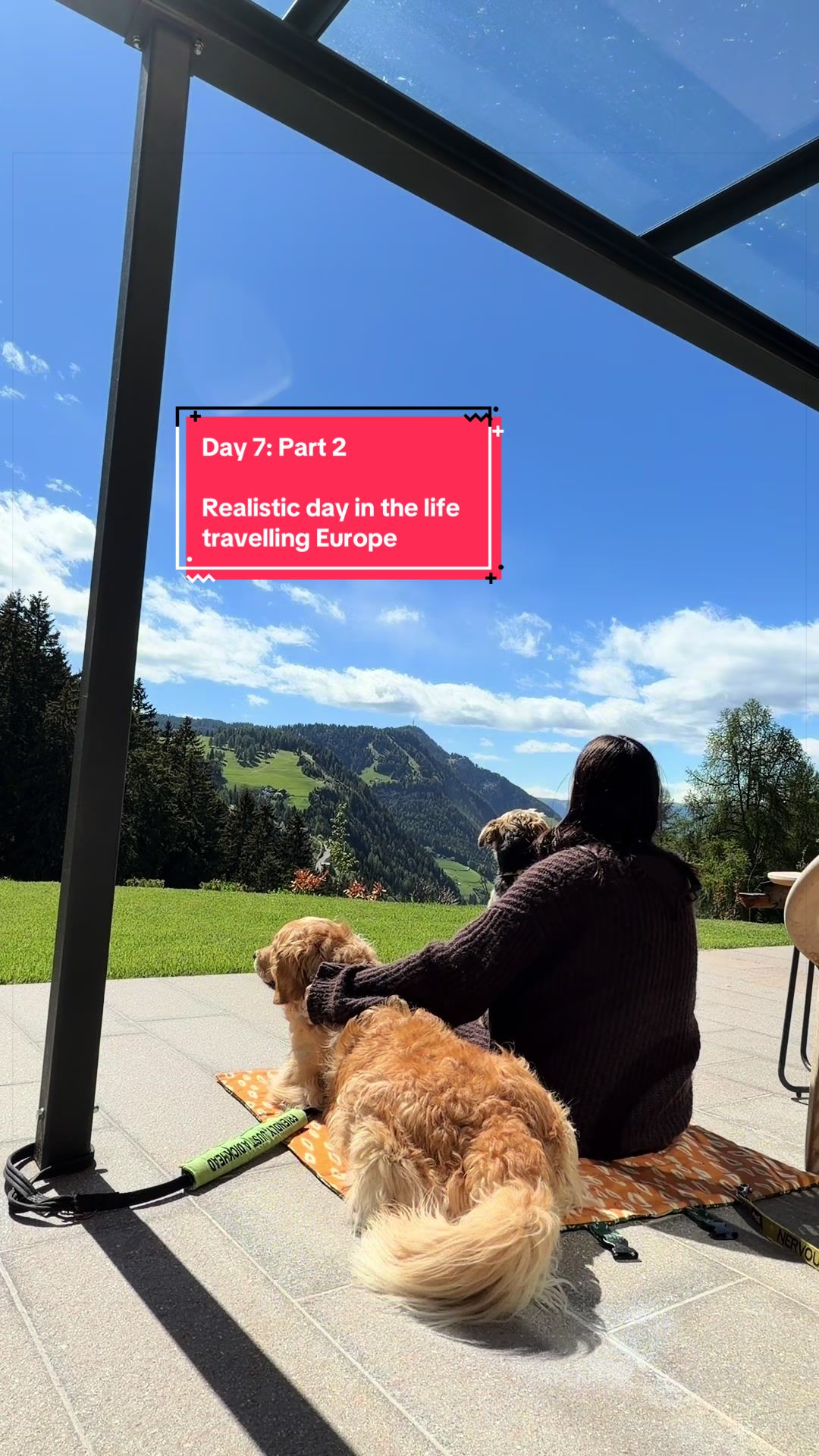 @Sheldon The Retriever