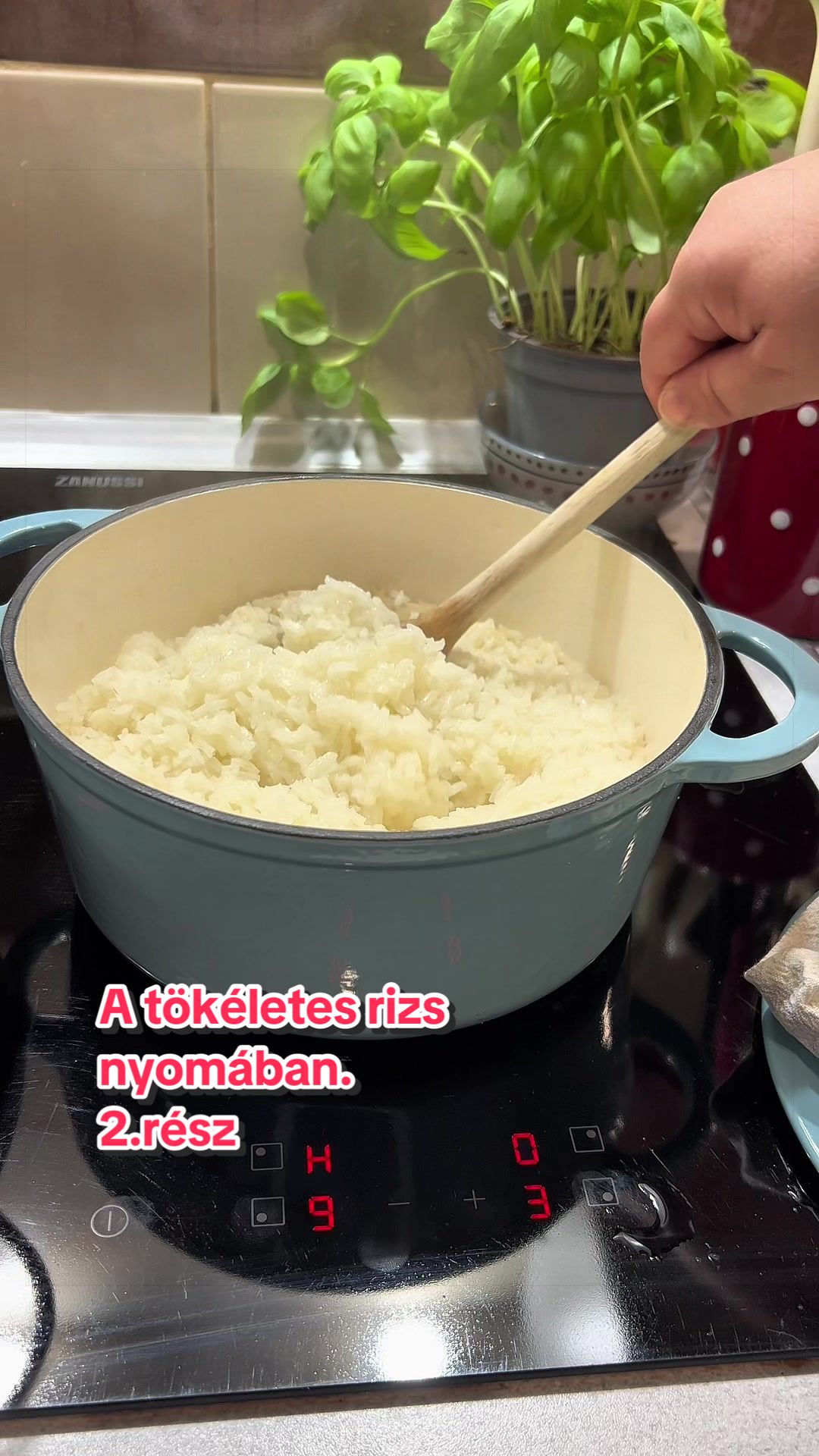@N&eacute;methn&eacute; Pogr&aacute;nyi Zsuzsanna