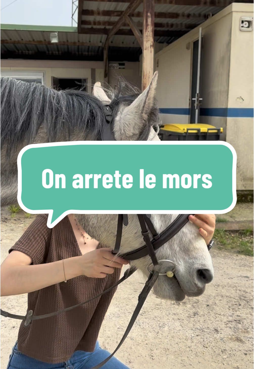 @Réflexions Equestres