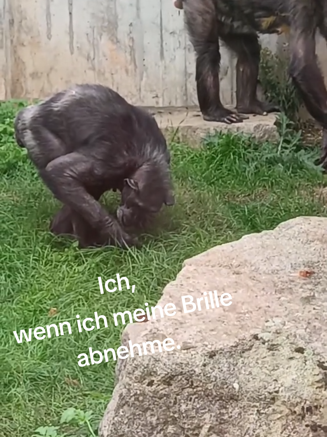@ᛏᚢᚱᚨ᛫ᚱᛖᛁᚾᚺᚨᚱᛞᛏ᛫