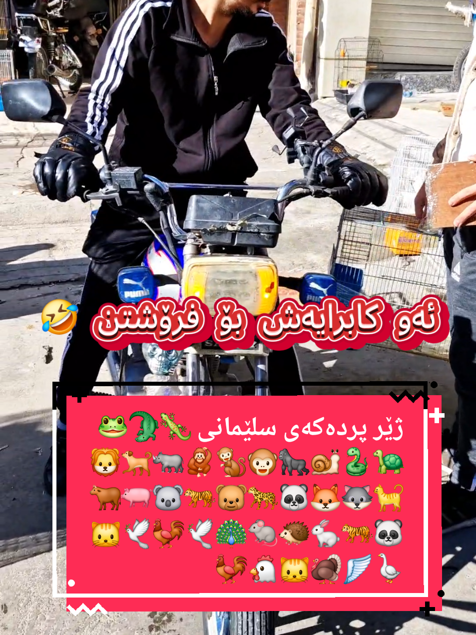 @Saraqal سەرەقەل