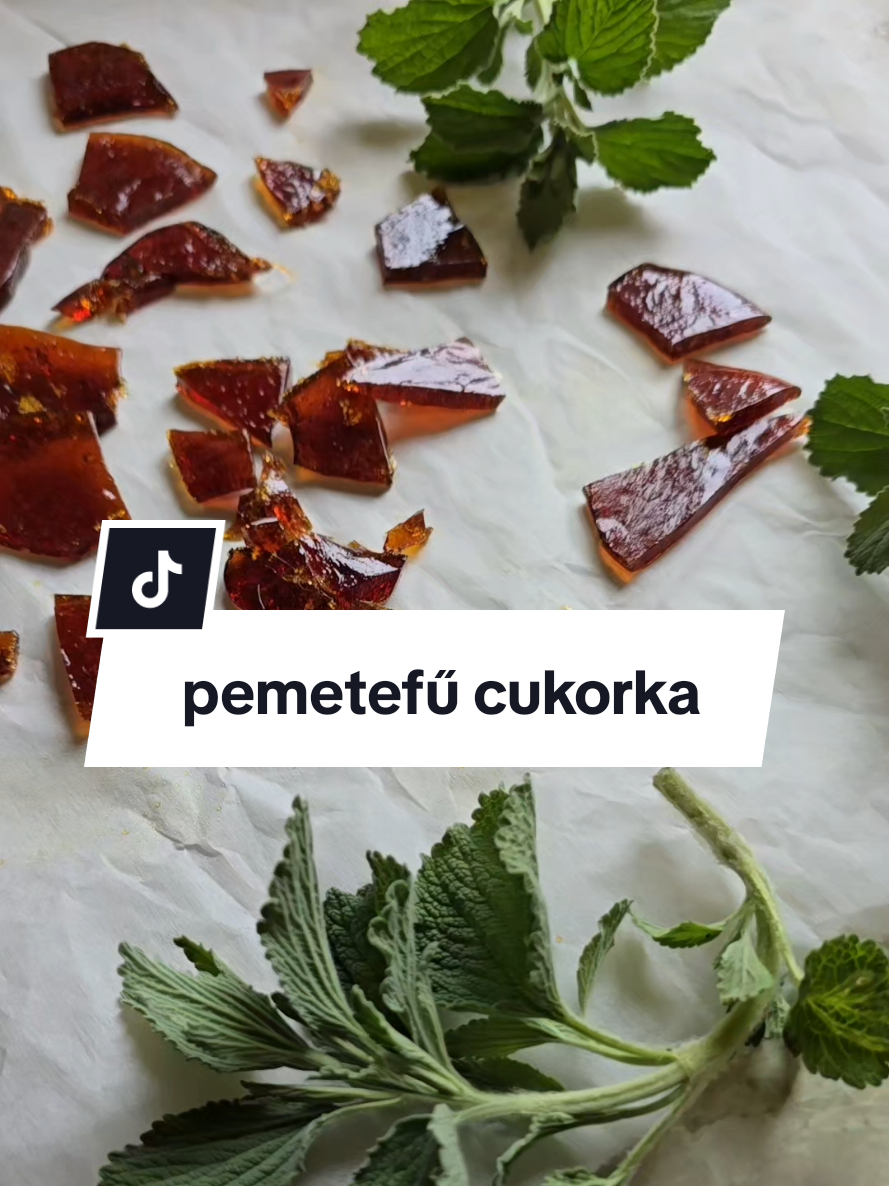 @Daisy Bukovicsné Bék