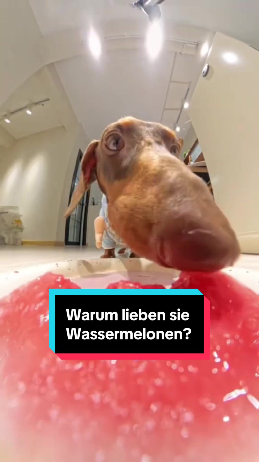 @Tiere kennen🐾