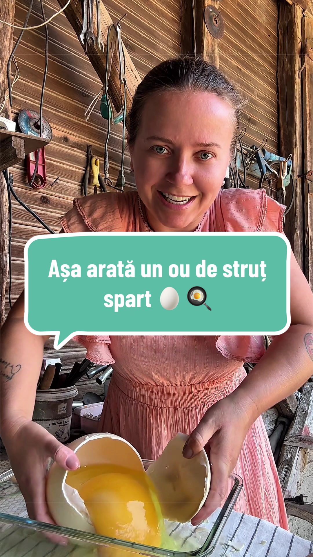 @OlteancaLuDi