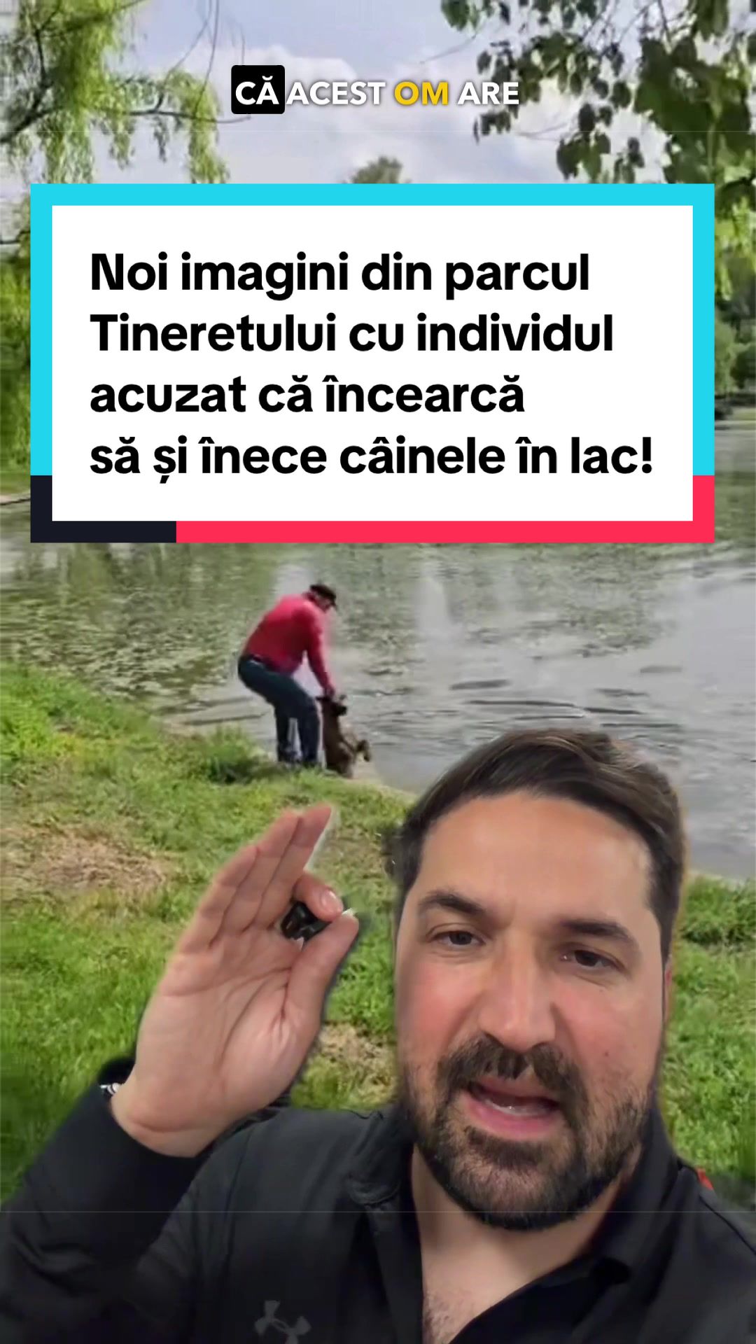 @Tudor-Tim Ionescu