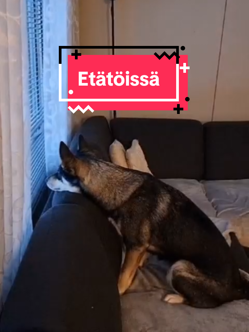@Samira 🎀